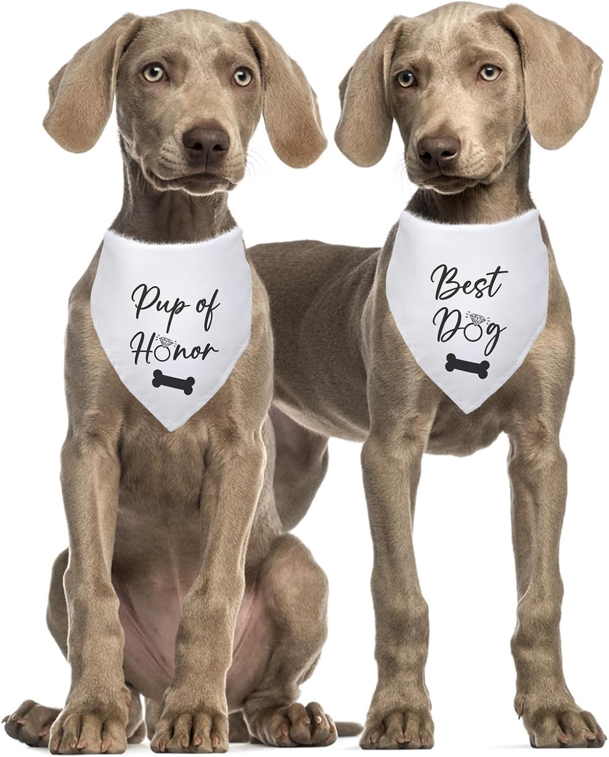 Pup of Honor Best Dog Bandana Wedding Dog Bandana Bridal Party Wedding Engagement Photo Prop Pet Scarf Accessories for Dog Lovers Owner Gift Pack of 2