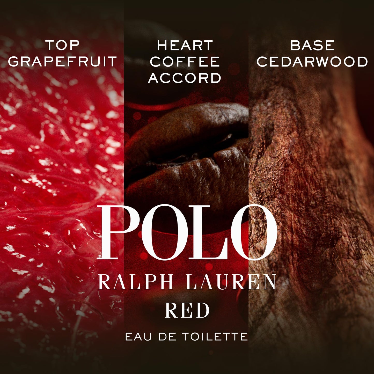 RALPH LAUREN FRAGRANCES - Polo Red - Eau de Toilette - Men's Cologne - Woody & Spicy - With Grapefruit, Saffron, and Redwood - Medium Intensity