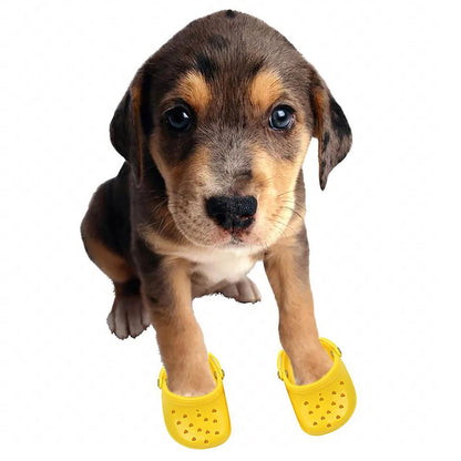 4 PCS Small Dog Sandals, Shoes for Dogs, Candy Colors Dog Sandals for Photo, Doggy Rubber Slipper Shoes Pink