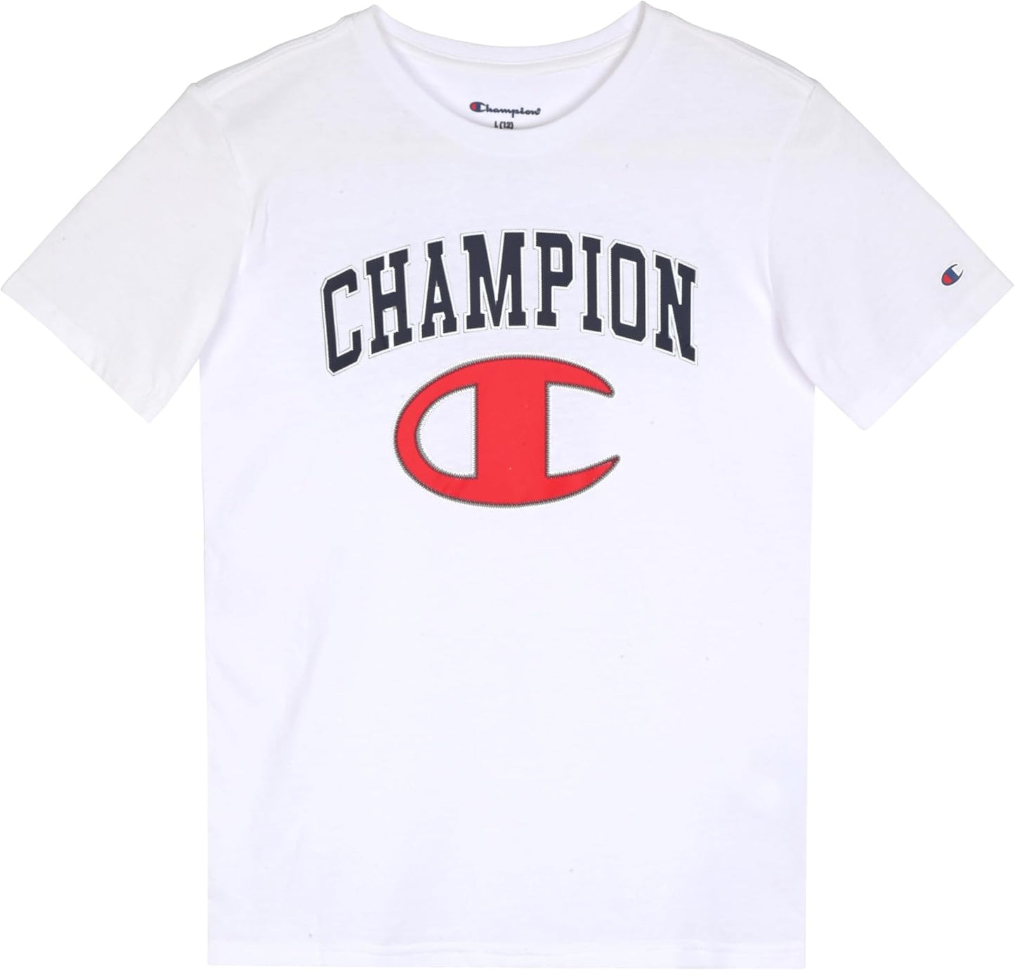 Champion Boys Sweatsuit Set for Kids 3 Piece Boys Hoodie Jogger and Tee Shirt Tracksuit Outfit