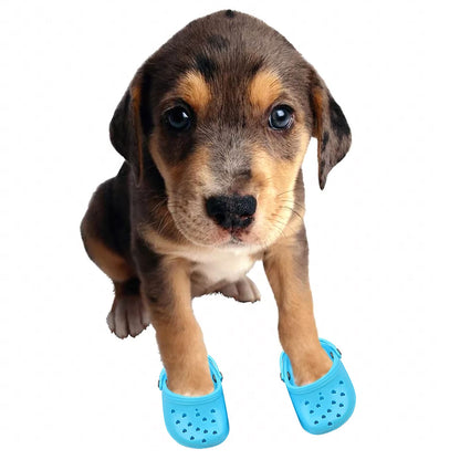 4 PCS Small Dog Sandals, Shoes for Dogs, Candy Colors Dog Sandals for Photo, Doggy Rubber Slipper Shoes Pink