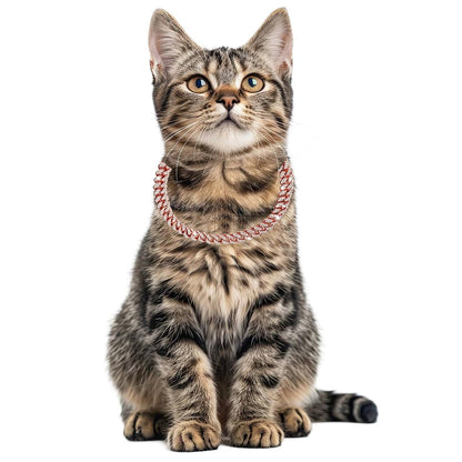 Bling Dog Collars for Small Dogs,Dog Chain Collars, Diamond Necklace Metal Choke Cuban Link Dog Collar, 13mm Wide Pet Jewelry for Puppy Small Medium Large Dogs Cats Rose Gold (8inch)