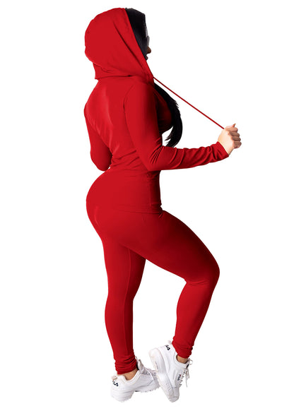 PINSV Women Two Piece Outfits Workout Sets Bodycon Tracksuit Long Sleeve Zip Up Hoodie Jacket Jogger Matching Sweat Pants Set