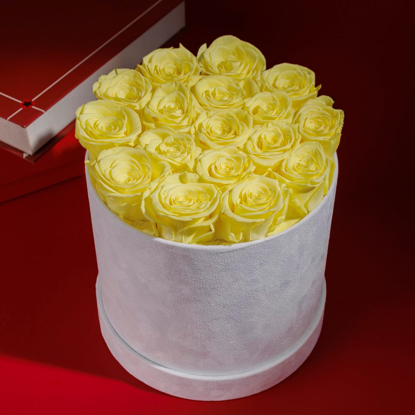 47 Flowers in a Luxury Suede Box, Birthday Gifts for Women, Preserved Flowers, Mothers Day Roses Gift for Mom, Red