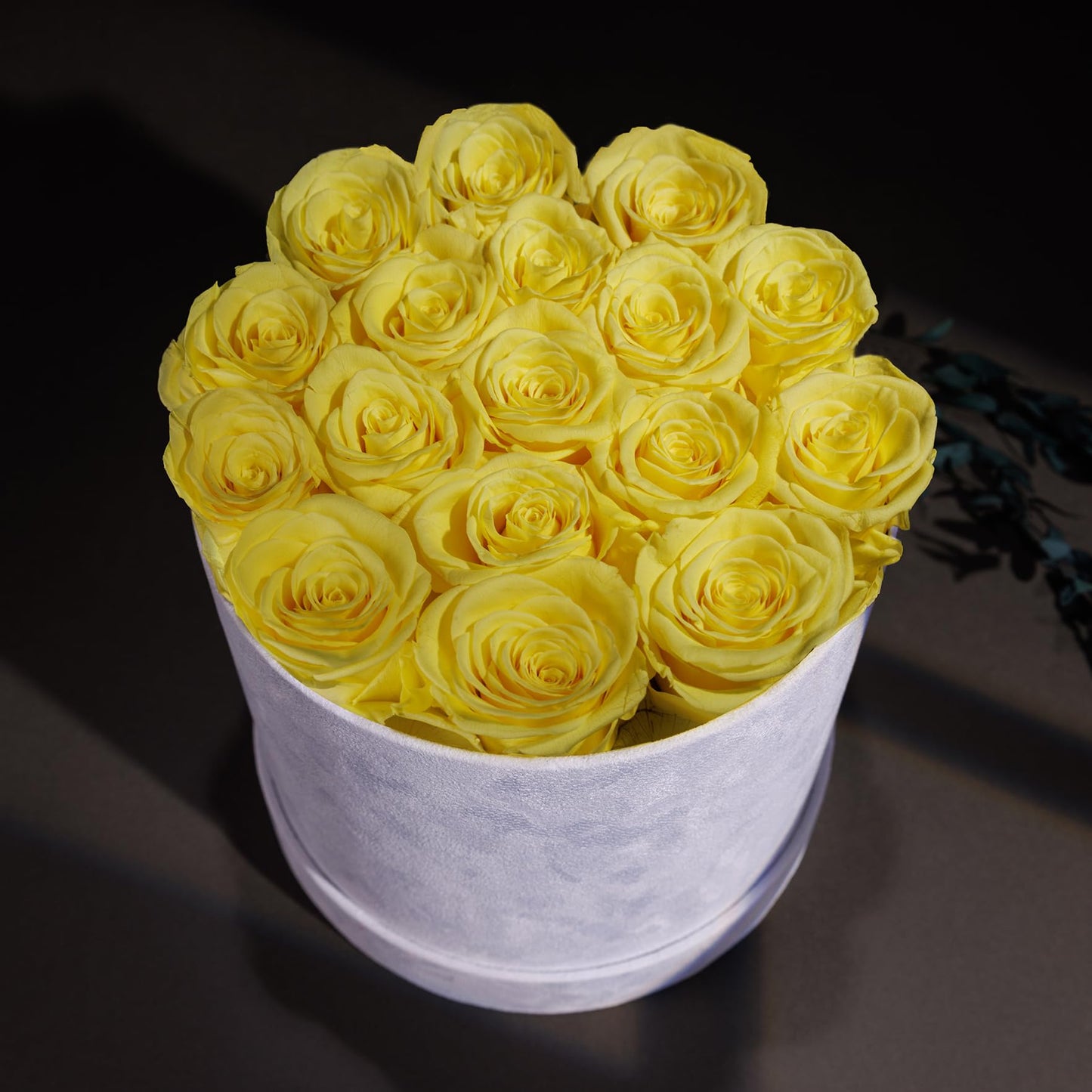 47 Flowers in a Luxury Suede Box, Birthday Gifts for Women, Preserved Flowers, Mothers Day Roses Gift for Mom, Red