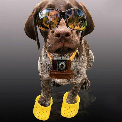 4 PCS Small Dog Sandals, Shoes for Dogs, Candy Colors Dog Sandals for Photo, Doggy Rubber Slipper Shoes Pink