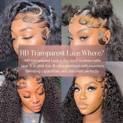 250 Density Curly Lace Front Wigs Human Hair Pre Plucked Hairline Glueless Wig 13x6 HD Lace Frontal Wigs for Women Ginger Orange Colored Ombre Wig Brazilian Virgin Hair 24 Inch