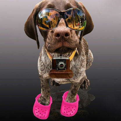 4 PCS Small Dog Sandals, Shoes for Dogs, Candy Colors Dog Sandals for Photo, Doggy Rubber Slipper Shoes Pink