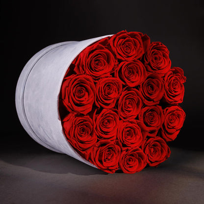 47 Flowers in a Luxury Suede Box, Birthday Gifts for Women, Preserved Flowers, Mothers Day Roses Gift for Mom, Red