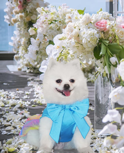 Dog Dresses, Puppy Soft Skirt, Summer Pet Clothes, Girl Dogs Wedding Outfit, Puppy Slik Outfit with Bow Tie, Dog Princess Clothes for Small Medium Breeds, White L