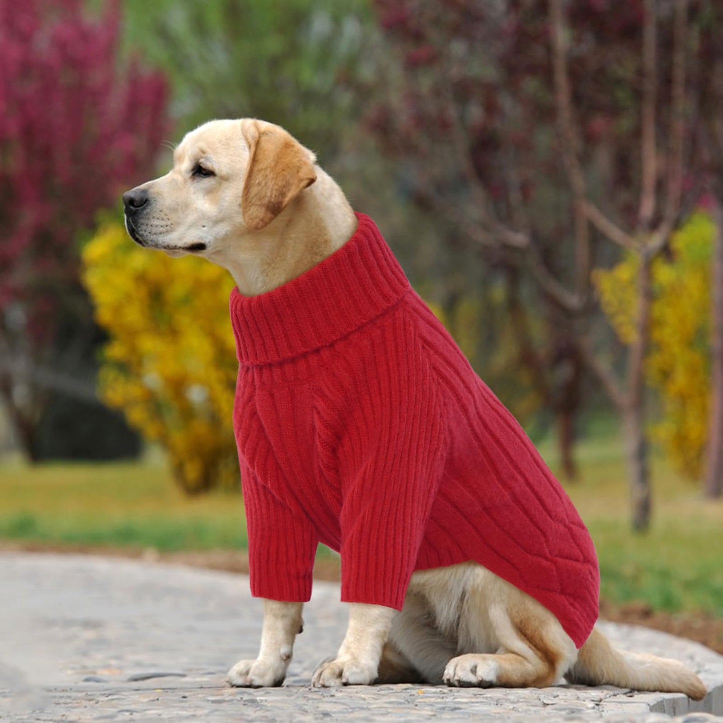 Large Dog Sweater - Turtleneck Thick Warm Doggie Christmas Sweater for Girl Boy Dogs (Red L)