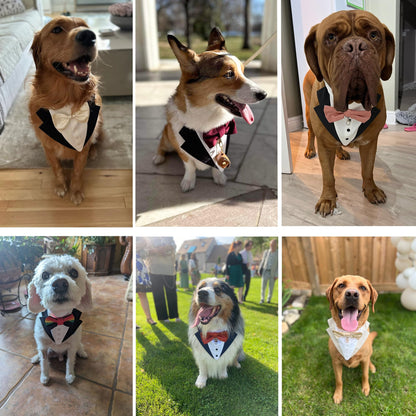 Custom-Fit Dog Tuxedo with Bow Tie & Lapel Uncut Cham Eyelet | Keyhole Fishtail Buttonhole Design | Optional Ring Bearer Clasp | Perfect Outfit for Wedding & Birthday by ACORD EU (Tan)
