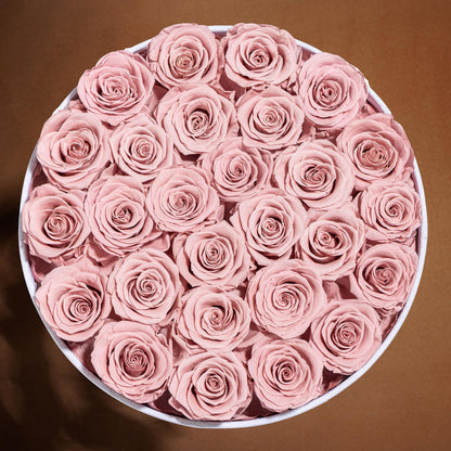 47 Flowers in a Luxury Suede Box, Birthday Gifts for Women, Preserved Flowers, Mothers Day Roses Gift for Mom, Red