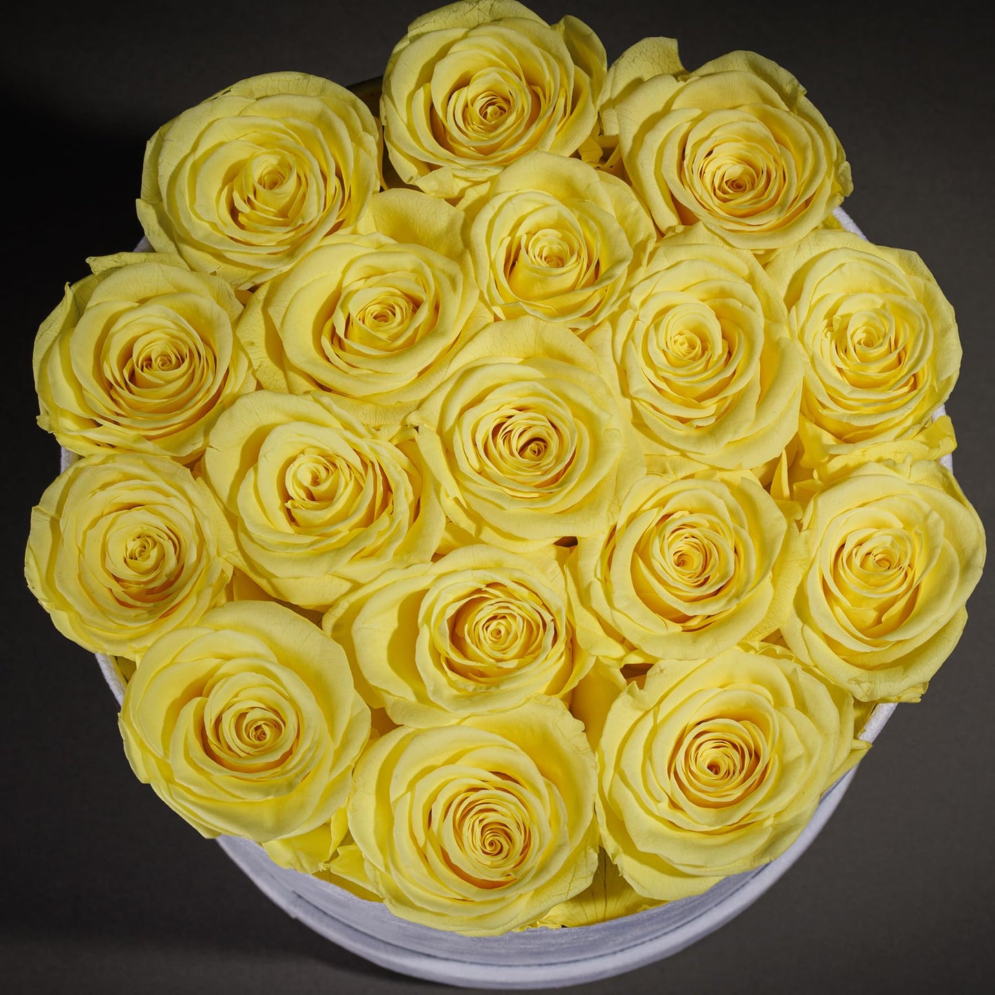 47 Flowers in a Luxury Suede Box, Birthday Gifts for Women, Preserved Flowers, Mothers Day Roses Gift for Mom, Red