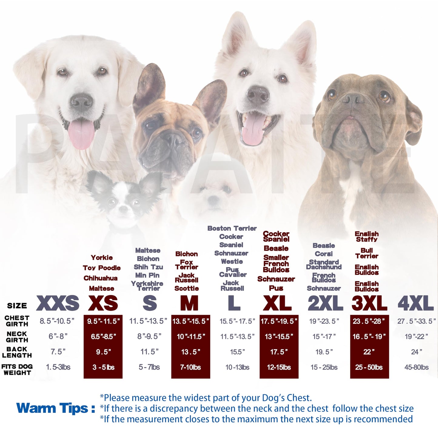 Paiaite Black Chihuahua Dog Hoodie: Keep Your Pup Warm and Stylish with a 'The Dog Face' Printed Sweatshirt Pet Clothes and Sweater Coat All in One Perfect for Winter and Cool Summer Nights! Black XS