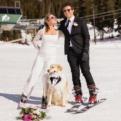 Custom-Fit Dog Tuxedo with Bow Tie & Lapel Uncut Cham Eyelet | Keyhole Fishtail Buttonhole Design | Optional Ring Bearer Clasp | Perfect Outfit for Wedding & Birthday by ACORD EU (Tan)