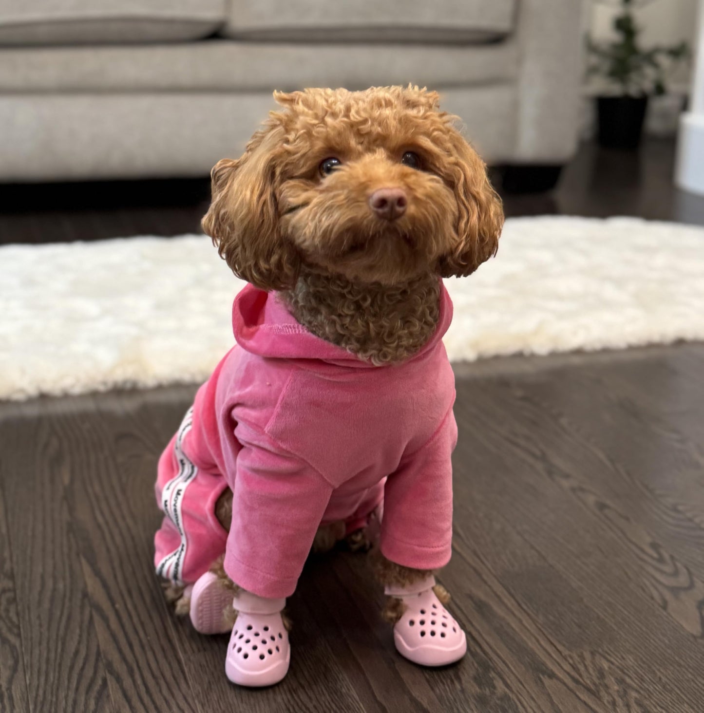 Dog Shoes: Non-Slip Waterproof Sandals for Hot Pavement, Breathable Perforated Boots, Large/Medium/Small Sizes, Ideal Paw Protector, Outdoor Clog Booties (Green Marble, Size 1)