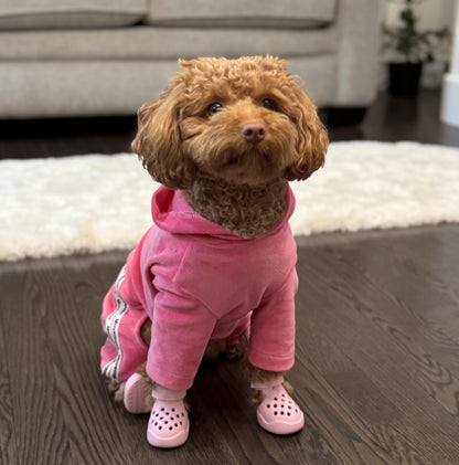 Dog Shoes: Non-Slip Waterproof Sandals for Hot Pavement, Breathable Perforated Boots, Large/Medium/Small Sizes, Ideal Paw Protector, Outdoor Clog Booties (Green Marble, Size 1)