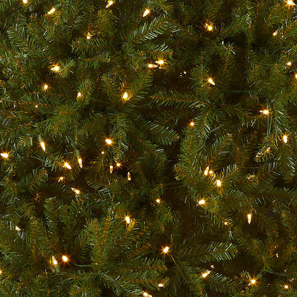 National Tree Company Pre-Lit Artificial Full Christmas Tree, Green, Dunhill Fir, Dual Color LED Lights, Includes Stand, 7.5 Feet, Dual Colored Lights